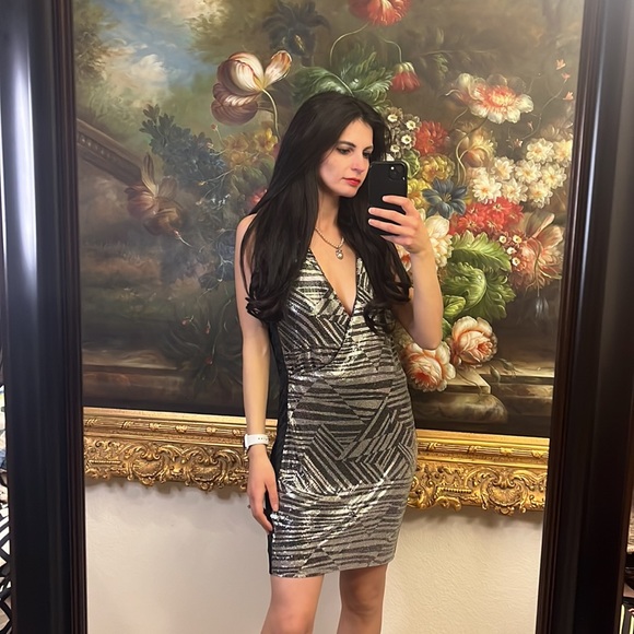 NWT $495 Ramy Brook Lola Dress - Picture 8 of 9